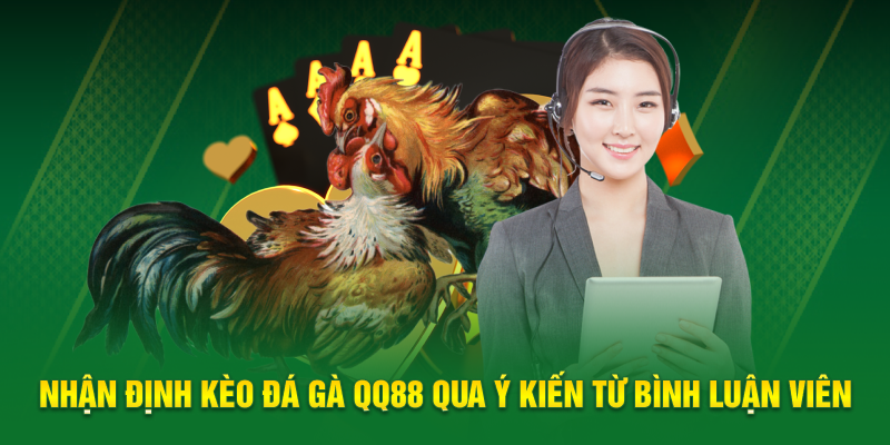 Nhận định kèo đá gà QQ88 qua ý kiến từ bình luận viên